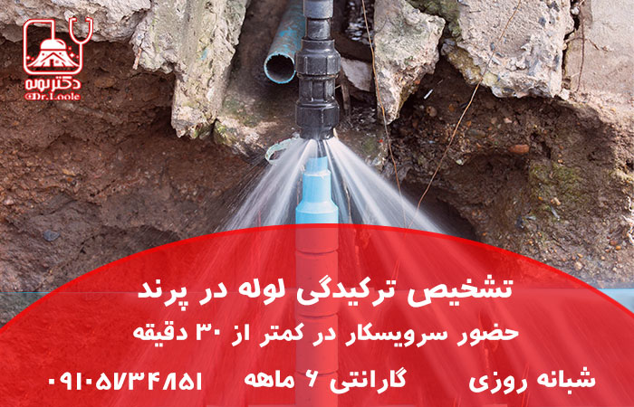 تشخیص ترکیدگی لوله در پرند